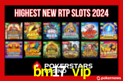 Interface Premium bm17 vip