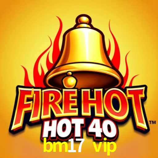 Experiência VIP bm17 vip